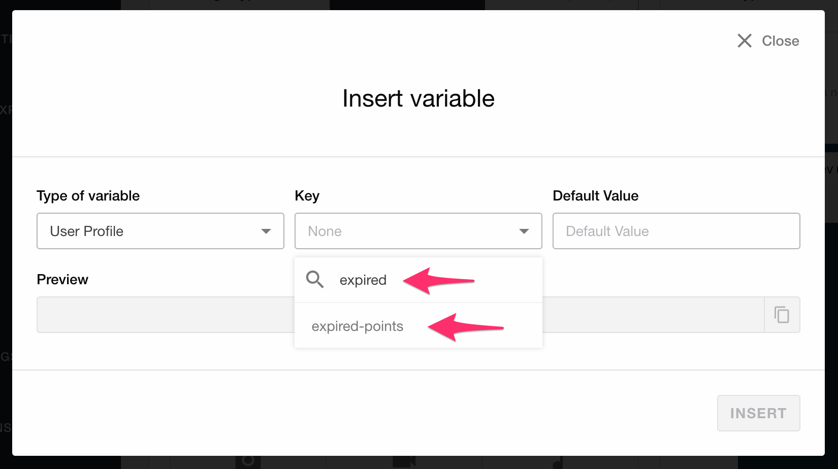 Liquid personalization insert variable ui 02