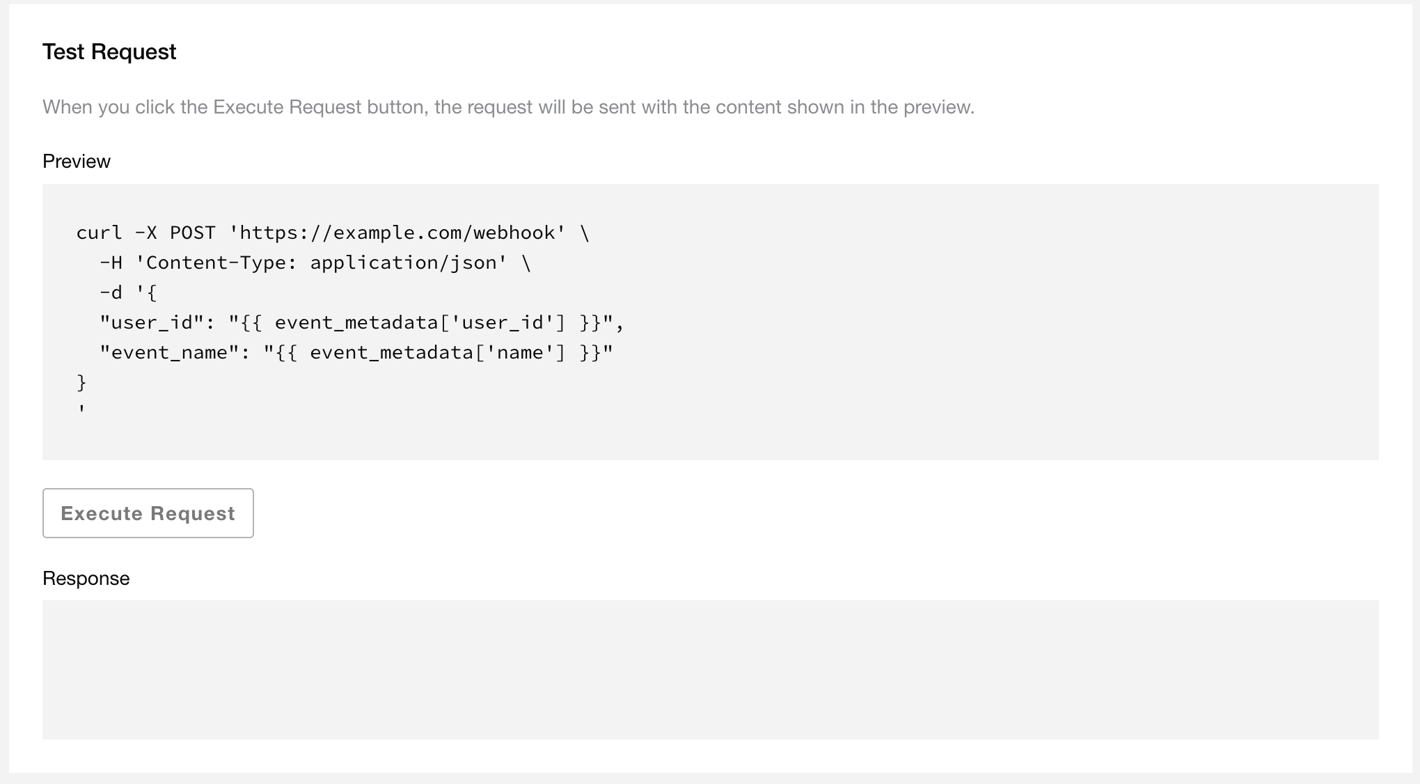 Preview, Execute Request button, and Response in the Test Request section