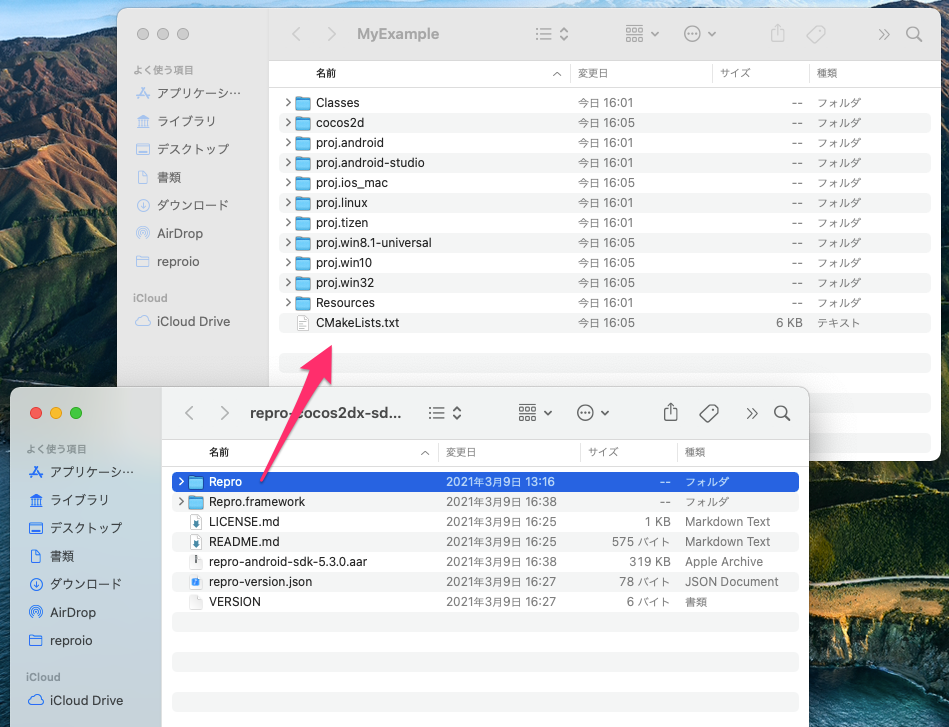 Add Repro Bridge to Project Directory