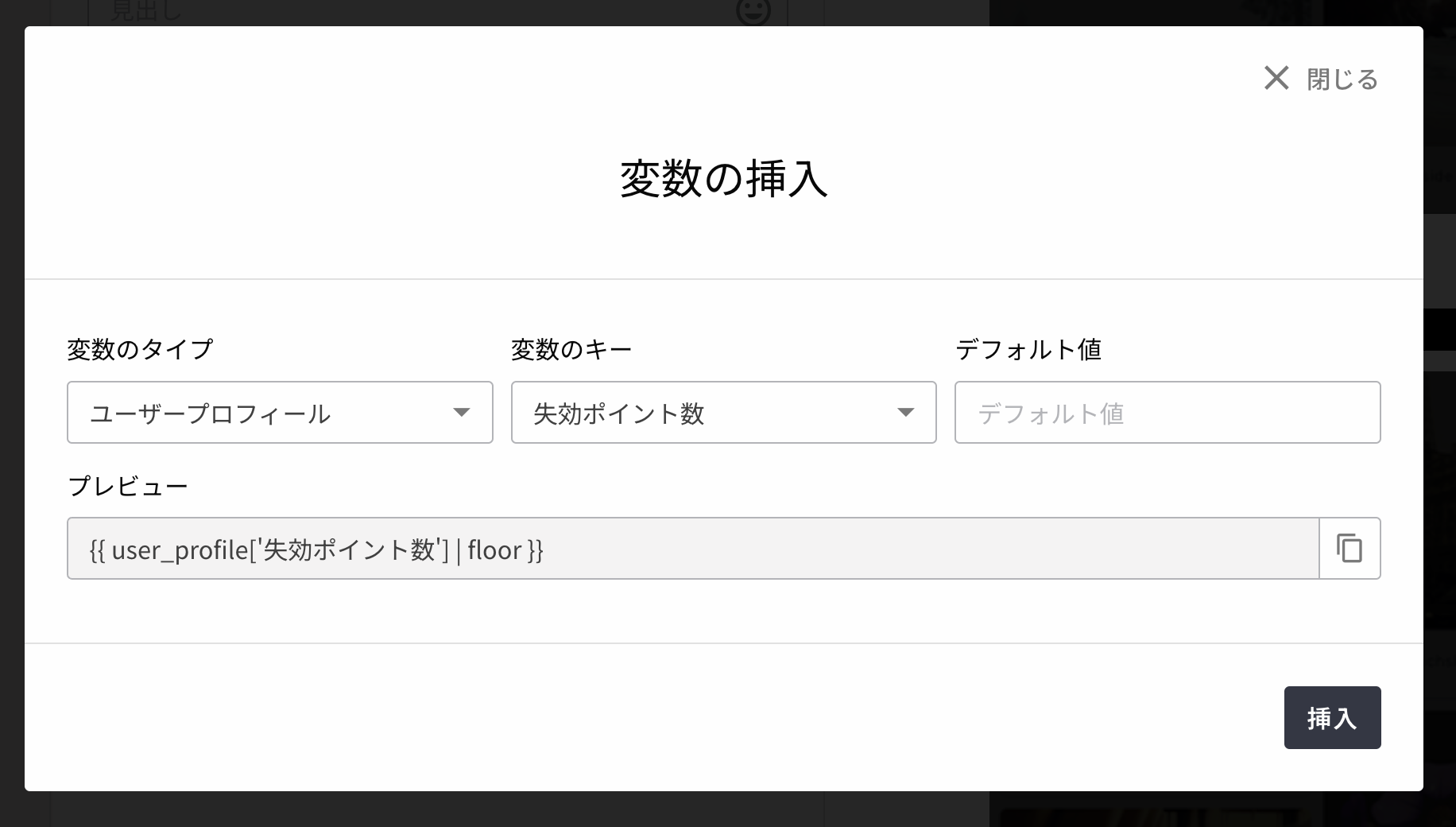Liquid personalization insert variable ui 03