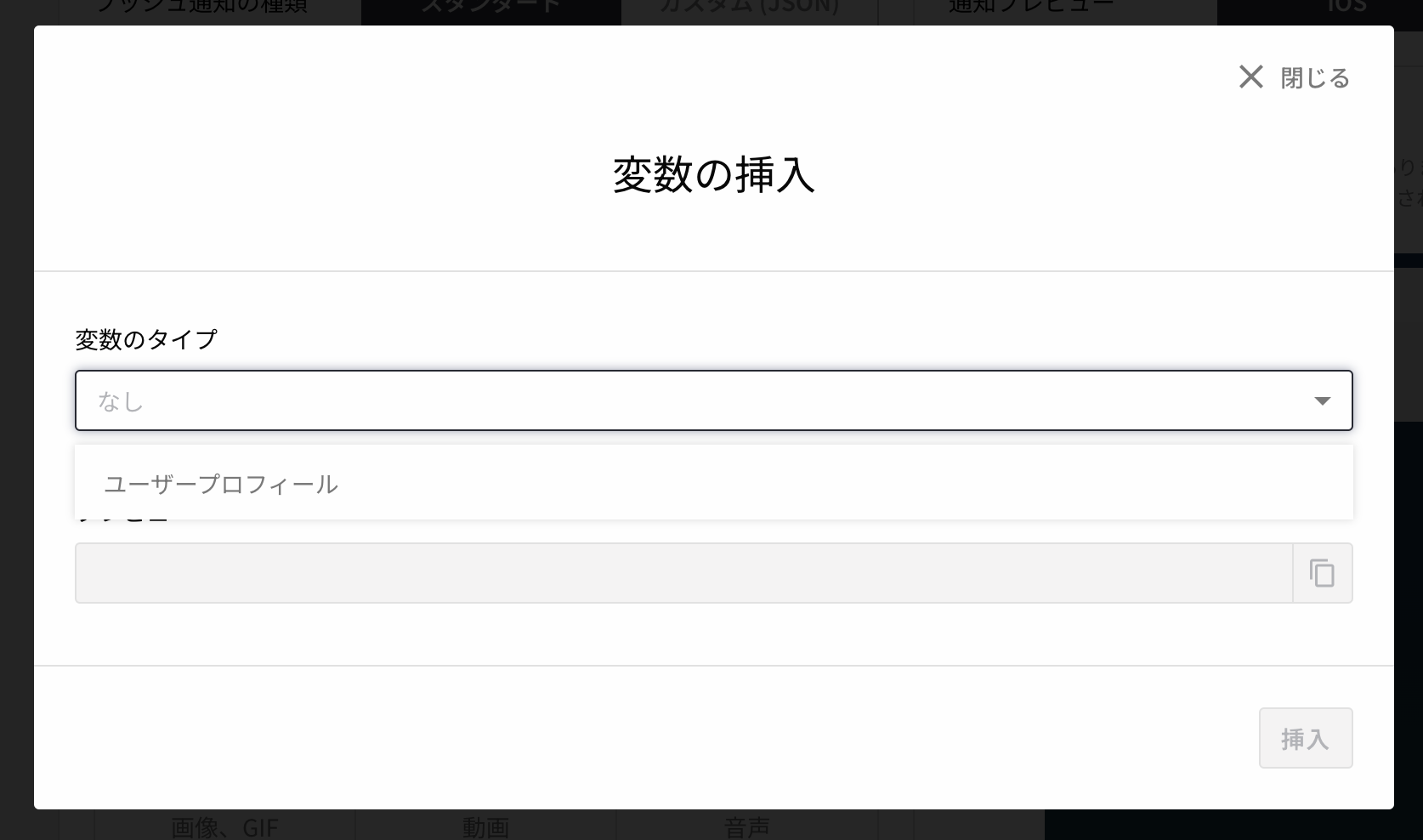 Liquid personalization insert variable ui 01